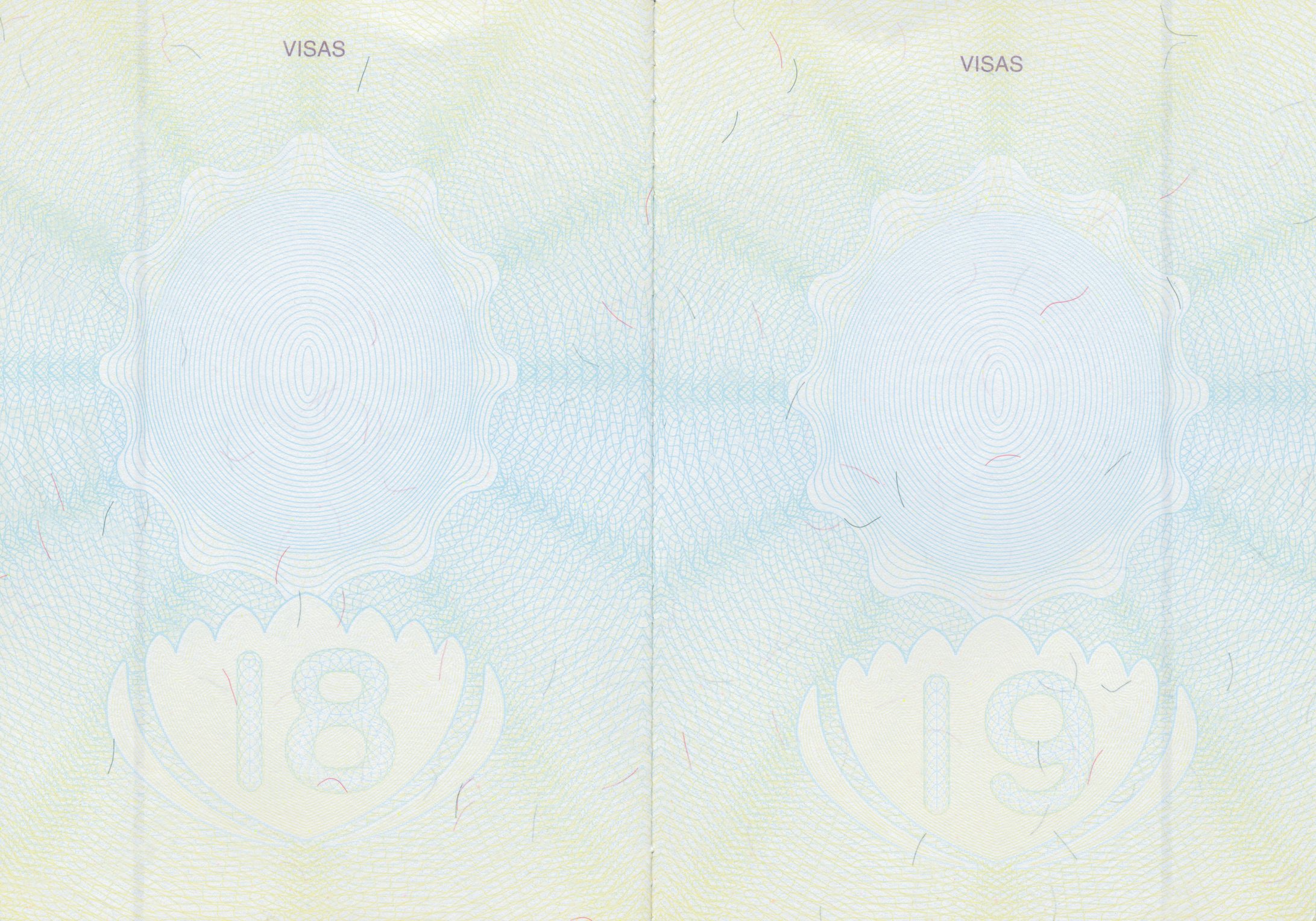 Passport Pages